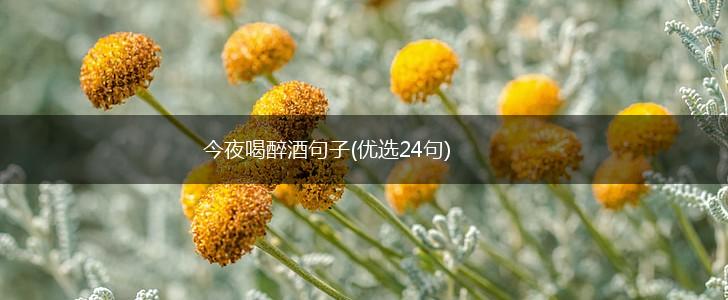 今夜喝醉酒句子(优选24句),第1张