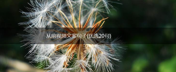 从前视频文案句子(优选20句),第1张