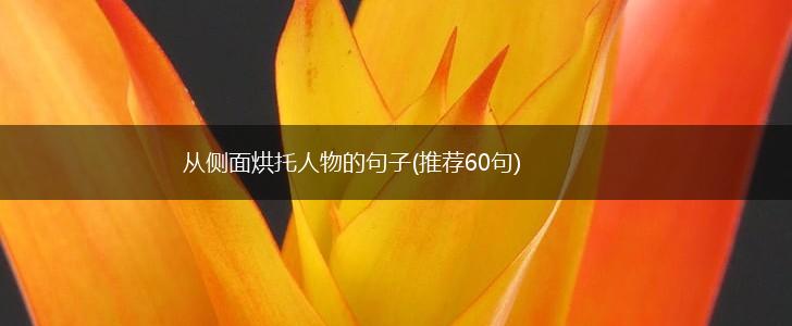 从侧面烘托人物的句子(推荐60句),第1张