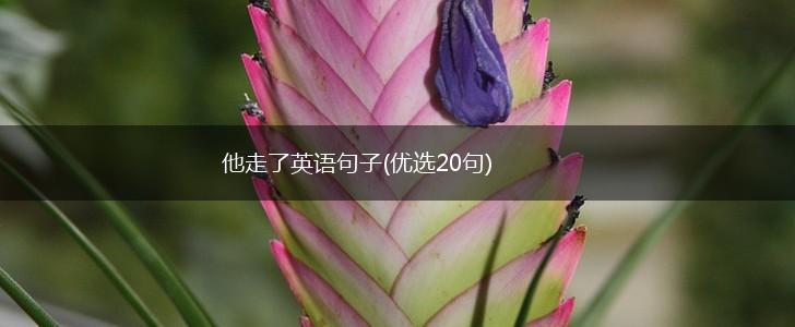 他走了英语句子(优选20句),第1张