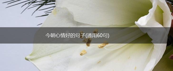 今朝心情好的句子(通用60句),第1张