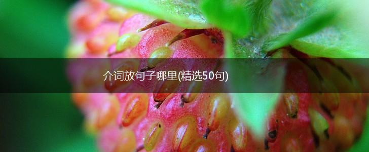 介词放句子哪里(精选50句),第1张