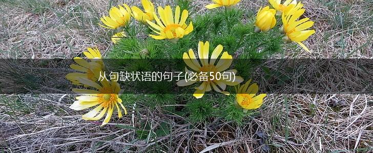 从句缺状语的句子(必备50句),第1张
