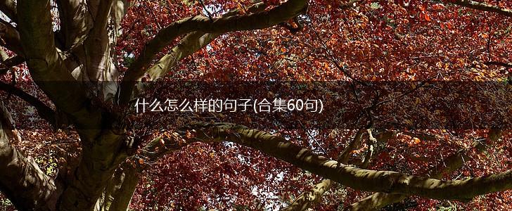 什么怎么样的句子(合集60句),第1张