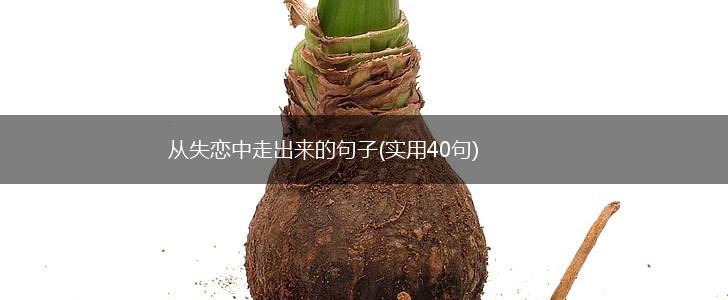 从失恋中走出来的句子(实用40句),第1张