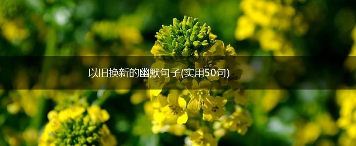 以旧换新的幽默句子(实用50句),第1张
