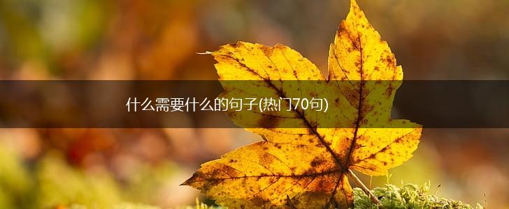 什么需要什么的句子(热门70句),第1张