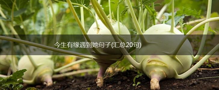 今生有缘遇到她句子(汇总20句),第1张