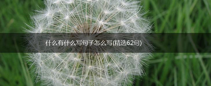 什么有什么写句子怎么写(精选62句),第1张