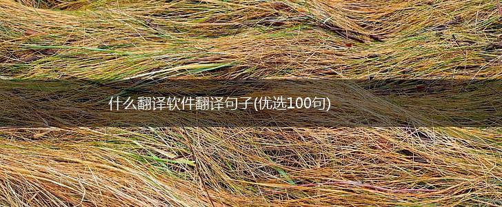 什么翻译软件翻译句子(优选100句),第1张