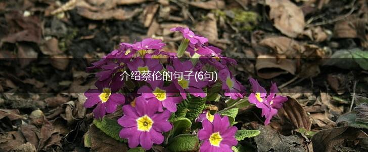 介绍蔡伦的句子(6句),第1张