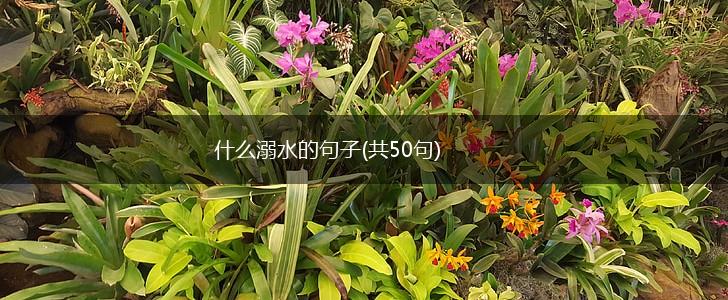 什么溺水的句子(共50句),第1张