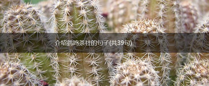 介绍鹤鸣茶社的句子(共39句),第1张