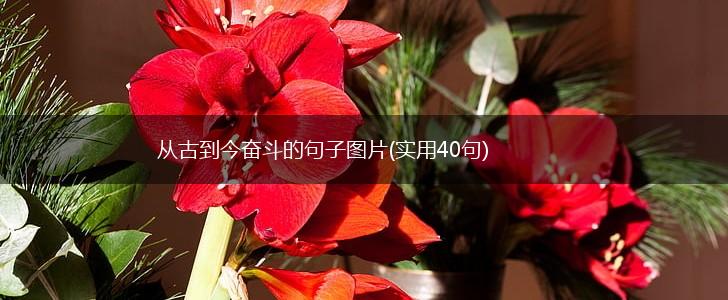 从古到今奋斗的句子图片(实用40句),第1张