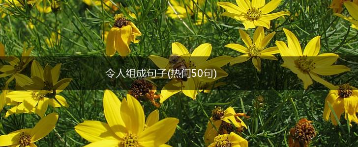 令人组成句子(热门50句),第1张