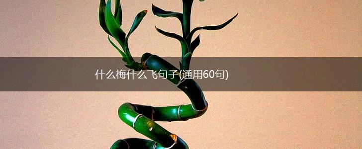什么梅什么飞句子(通用60句),第1张