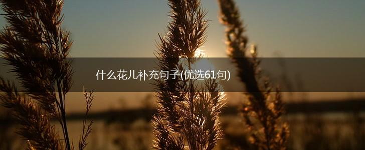 什么花儿补充句子(优选61句),第1张