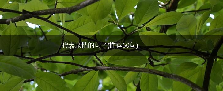 代表亲情的句子(推荐60句),第1张