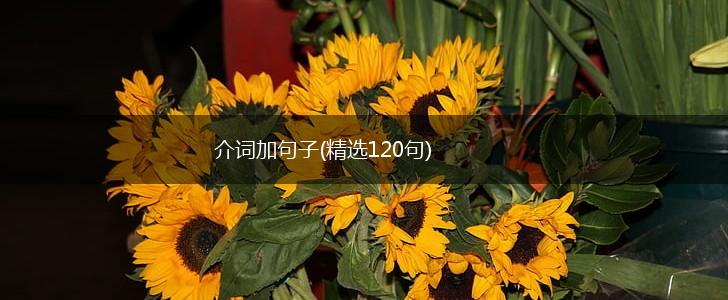 介词加句子(精选120句),第1张