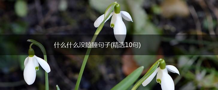 什么什么没瞌睡句子(精选10句),第1张