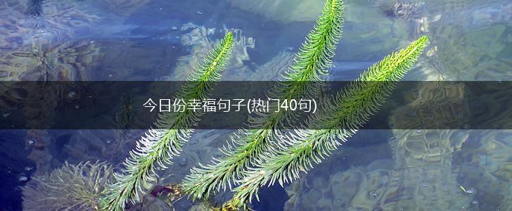 今日份幸福句子(热门40句),第1张