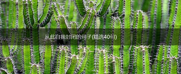 从此自我封闭的句子(精选40句),第1张