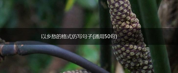 以乡愁的格式仿写句子(通用50句),第1张