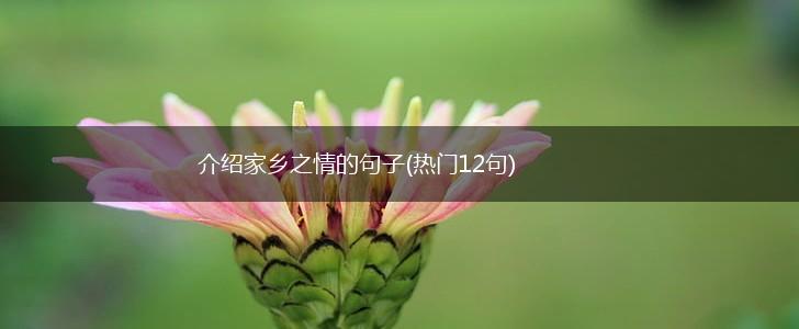 介绍家乡之情的句子(热门12句),第1张