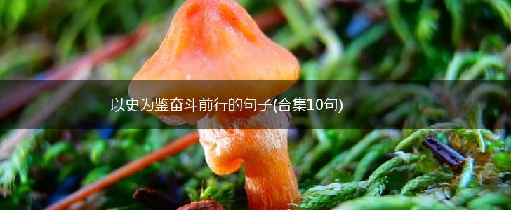 以史为鉴奋斗前行的句子(合集10句),第1张