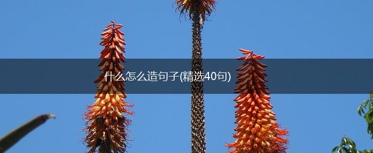什么怎么造句子(精选40句),第1张 什么怎么造句子(精选40句),第1张