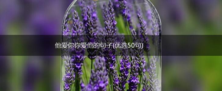 他爱你你爱他的句子(优选50句),第1张