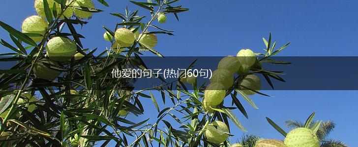 他爱的句子(热门60句),第1张