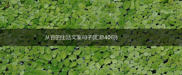 从容的生活文案句子(汇总40句),第1张