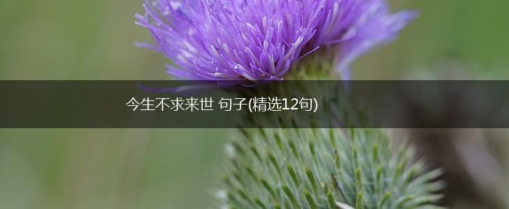 今生不求来世 句子(精选12句),第1张