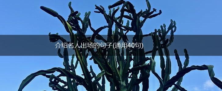 介绍名人出场的句子(通用40句),第1张