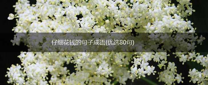 仔细花钱的句子成语(优选80句),第1张