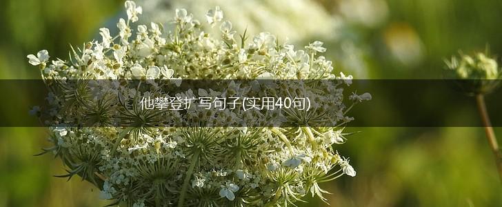 他攀登扩写句子(实用40句),第1张
