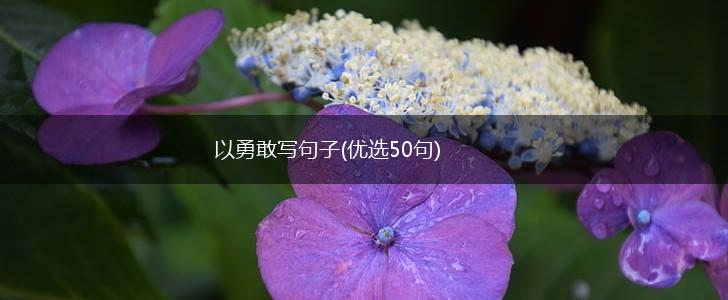 以勇敢写句子(优选50句),第1张