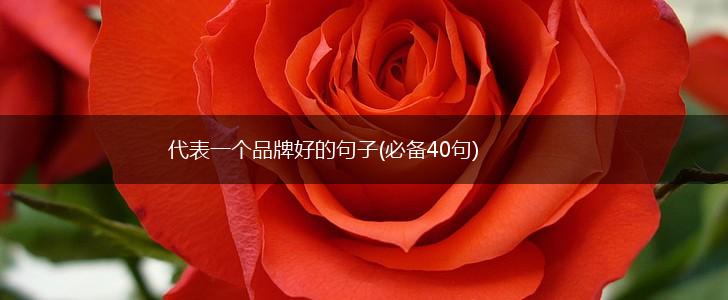 代表一个品牌好的句子(必备40句),第1张