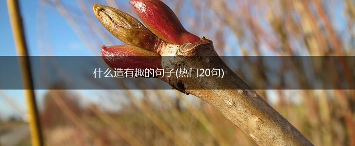 什么造有趣的句子(热门20句),第1张