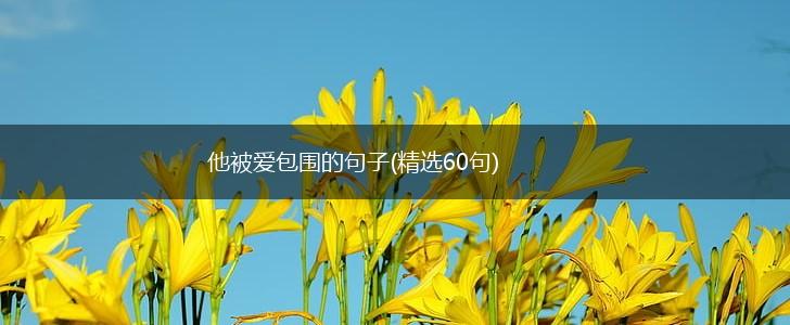 他被爱包围的句子(精选60句),第1张