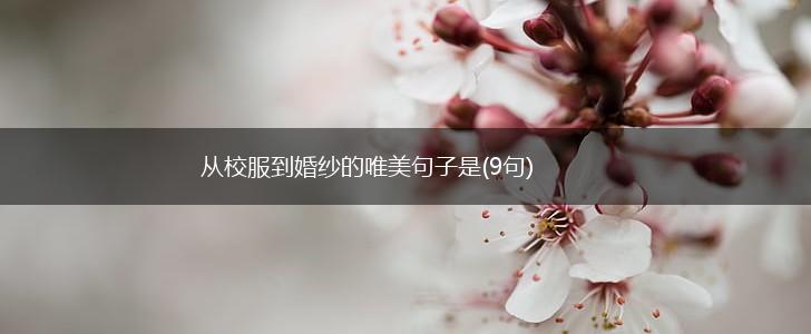 从校服到婚纱的唯美句子是(9句),第1张