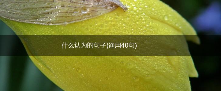 什么认为的句子(通用40句),第1张