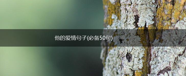 他的爱情句子(必备50句),第1张 他的爱情句子(必备50句),第1张
