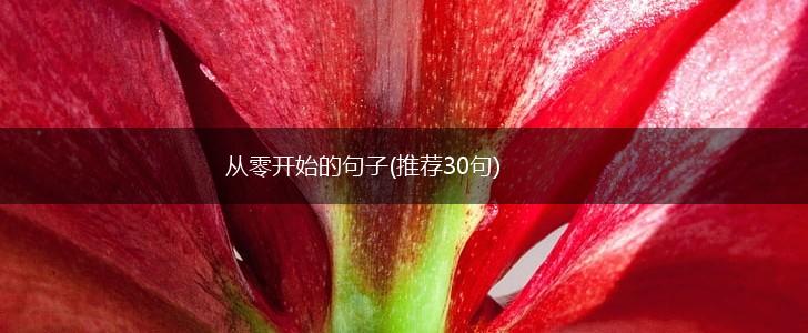 从零开始的句子(推荐30句),第1张