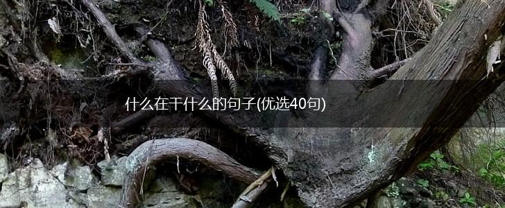 什么在干什么的句子(优选40句),第1张