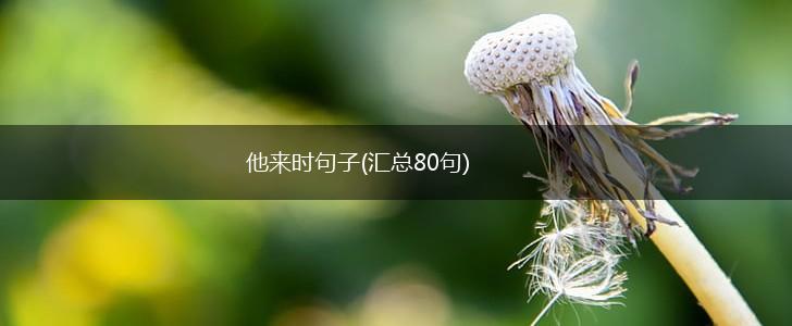 他来时句子(汇总80句),第1张