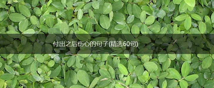 付出之后伤心的句子(精选60句),第1张