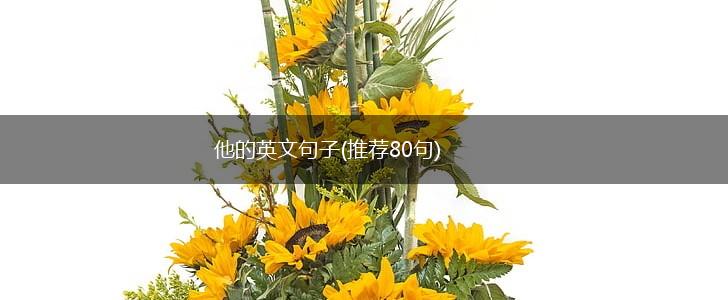 他的英文句子(推荐80句),第1张