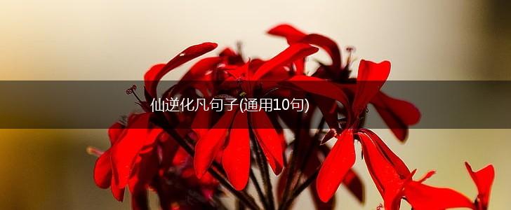 仙逆化凡句子(通用10句),第1张